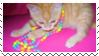 candycat